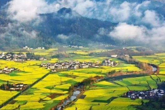 农业农村部办公厅关于开展第十一批全国“一村一品”示范村镇认定工作的通知
