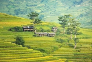 发展特色乡村旅游，开辟乡村振兴新路