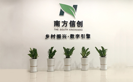 企业愿景