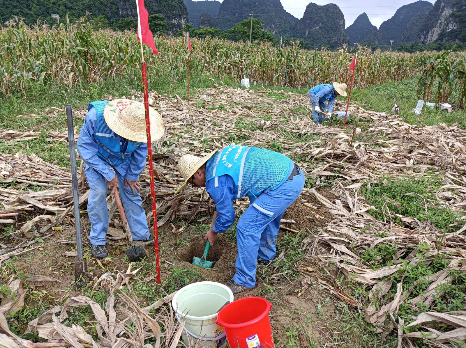 采样地表层-11.jpg
