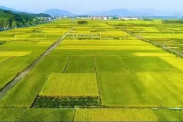 强化内业质量控制 有序推进土壤普查