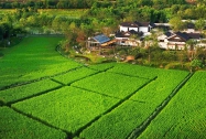 全力做好乡村振兴大文章 奋力推进农业农村现代化