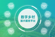 建设数字乡村，全面助力乡村振兴