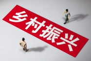 乡村振兴要坚持党建引领