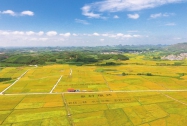 写好“三篇文章” 助力乡村振兴“加速跑”