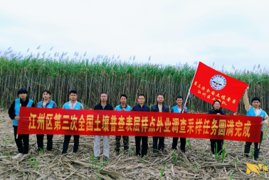 历时百天，江州区土壤“体检”全面完成