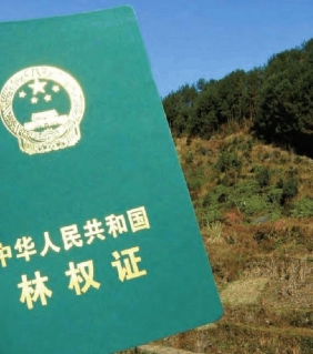 林权类不动产确权登记