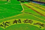广西强化土地政策支持 助力农村一二三产业融合发展