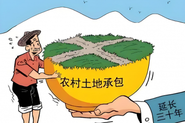 近期由我司负责实施的土地延包项目获表扬信