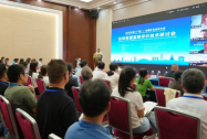 中国—东盟共探自然资源监测新技术实景三维与热带遥感应用成焦点