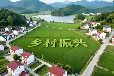 农业农村部关于落实《中共中央国务院关于锚定农业农村现代化扎实推进乡村全面振兴的意见》的实施意见 